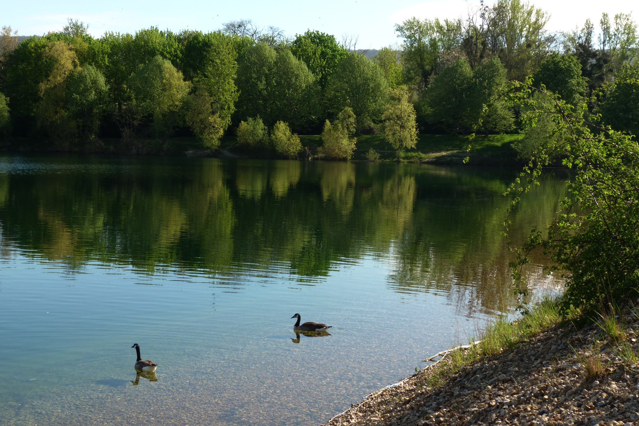 photo of a pond in Verneuil-Sur-Seine